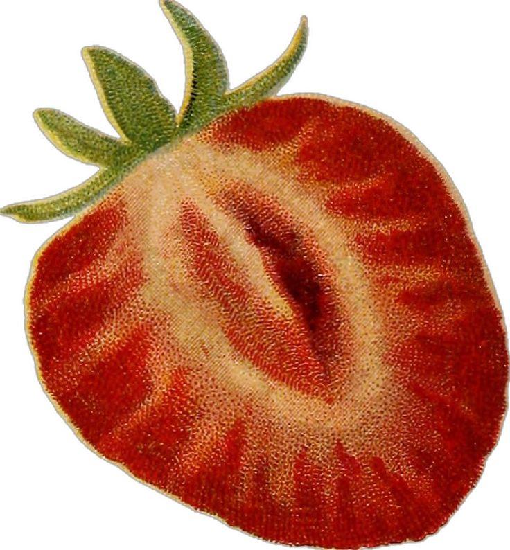 Rural Harvest: Artisanal Berry Selection