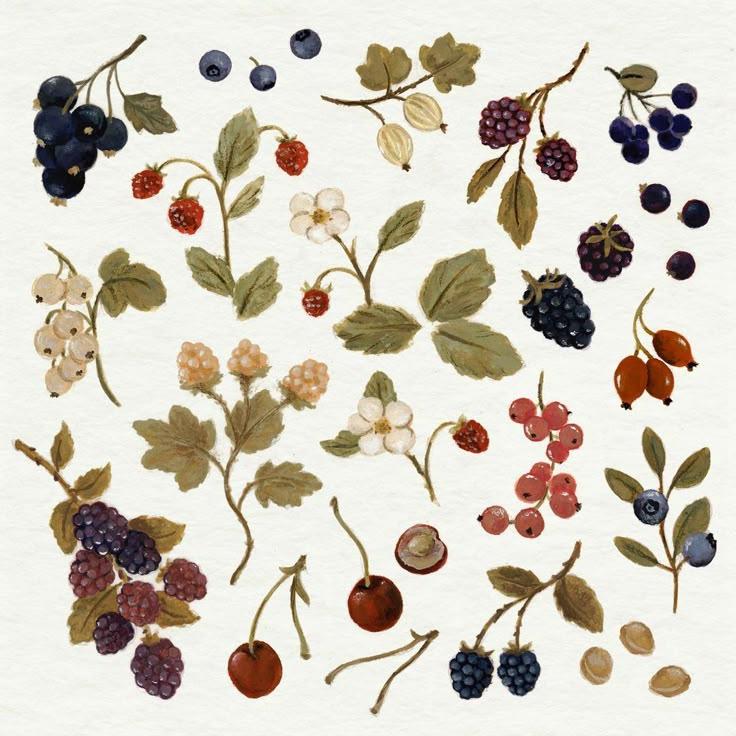 Berry Bounty: Farm Fresh Variety Pack