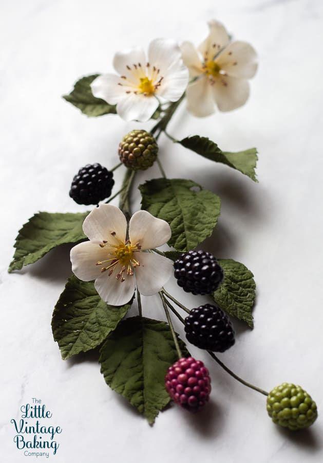 Grove Treasures: Organic Berry Medley
